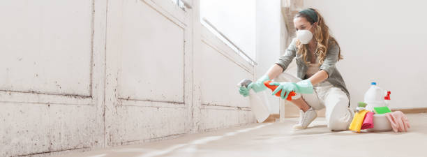 Why You Should Choose Our Mold Remediation Services in Appleton City, MO